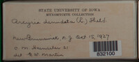 Image Associated With the Occurence